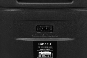 Мидисистема Ginzzu GM-202