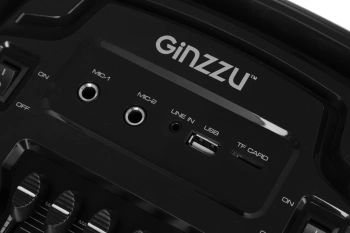 Мидисистема Ginzzu GM-202