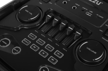 Мидисистема Ginzzu GM-202