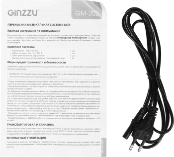 Мидисистема Ginzzu GM-202