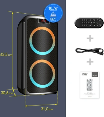 Мидисистема Ginzzu GM-202