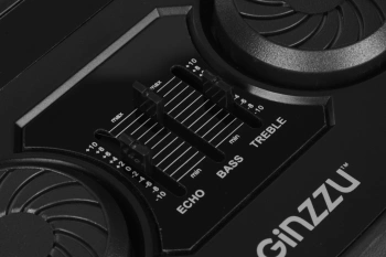 Мидисистема Ginzzu GM-208