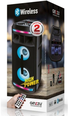 Мидисистема Ginzzu GM-208