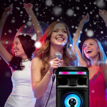 Мидисистема Ginzzu GM-208