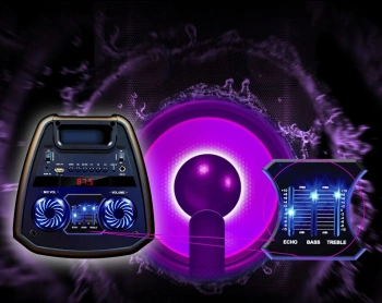 Мидисистема Ginzzu GM-208