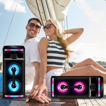 Мидисистема Ginzzu GM-208