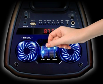 Мидисистема Ginzzu GM-208