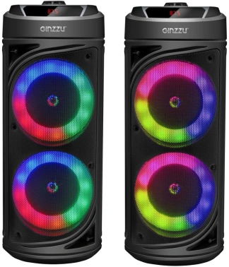 Мидисистема Ginzzu GM-229