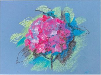 Масляная пастель Brauberg 181452