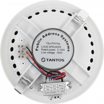 Громкоговоритель Tantos  TSo-PW10a