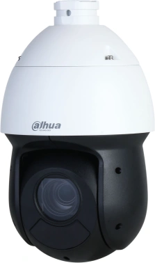 Камера видеонаблюдения IP Dahua  DH-SD49225DB-HNY