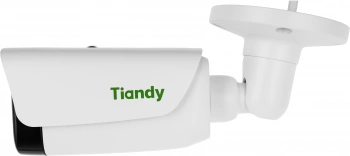 Камера видеонаблюдения IP Tiandy Pro  TC-C32TS I8/A/E/Y/M/H/2.7-13.5mm/V4.0
