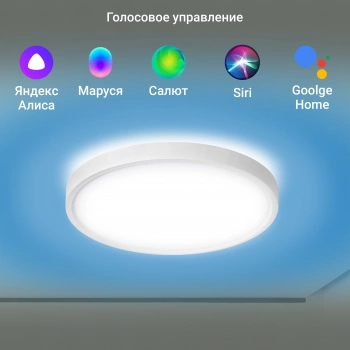 Умный светильник Digma  TopLight TL40