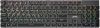 1913914_v01_s.webp