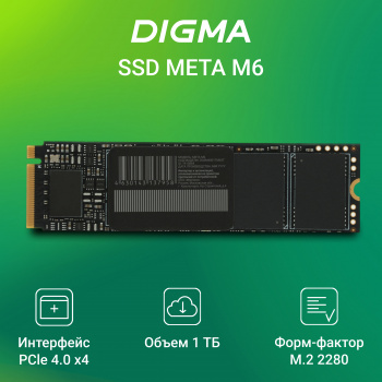 Накопитель SSD Digma PCIe 4.0 x4 1TB DGSM4001TM63T