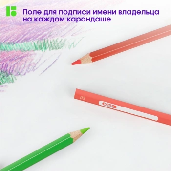 Набор карандашей цв. Berlingo  Замки