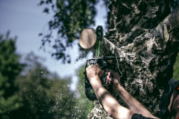 Цепная пила Greenworks  GD40TCS