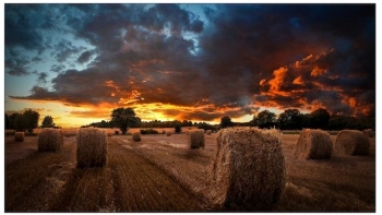 Панель Samsung 46