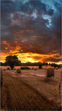 Панель Samsung 46