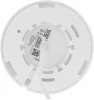 1924243_v05_s.webp