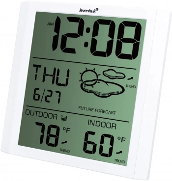 Термометр Levenhuk LP30