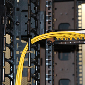 Кабельный органайзер вертикальный Lanmaster TWT-CBB-DVO-42U/M односторонний пальцы 42U шир.:19