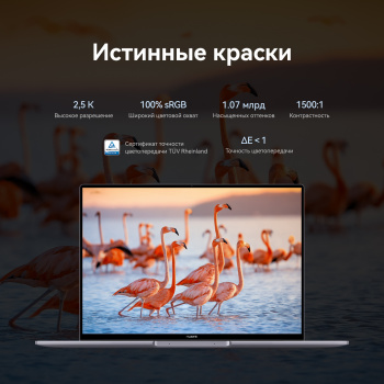 Ноутбук Huawei MateBook 16S CREFG-X