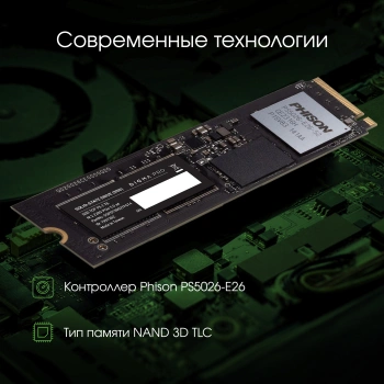 Накопитель SSD Digma Pro PCIe 5.0 x4 2000GB DGPST5002TP6T4