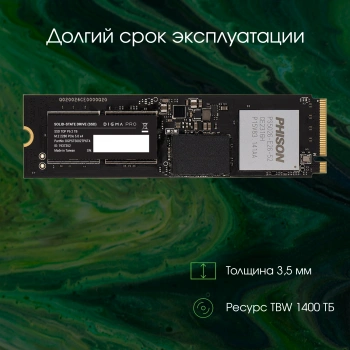 Накопитель SSD Digma Pro PCIe 5.0 x4 2000GB DGPST5002TP6T4
