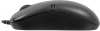 1938388_v03_s.webp