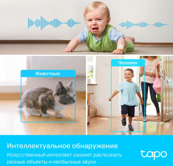 Камера видеонаблюдения IP TP-Link  Tapo C225
