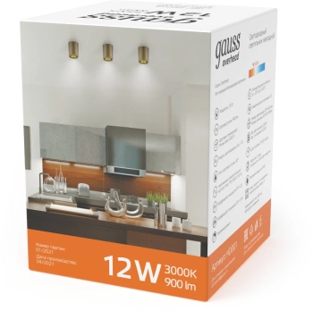 Светильник Gauss Overhead потолоч. 12Вт 3000K цв.св.:белый теплый коричневый (HD001)