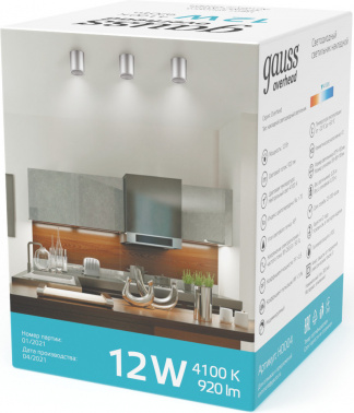 Светильник Gauss Overhead  HD004