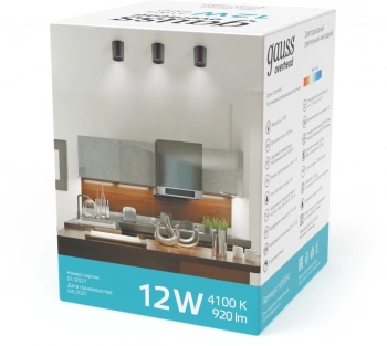 Светильник Gauss Overhead потолоч. 12Вт 4100K цв.св.:белый нейтральный черный (HD007)