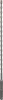1955598_v01_s.webp