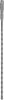 1955598_v04_s.webp