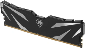 Память DDR4 2x8GB 3200MHz Netac  NTSWD4P32DP-16K