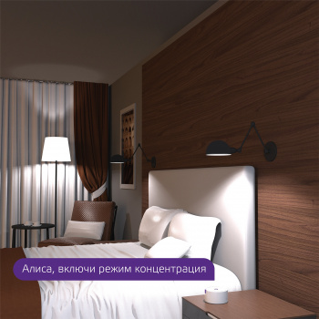 Умная лампа Gauss Smart Home C35