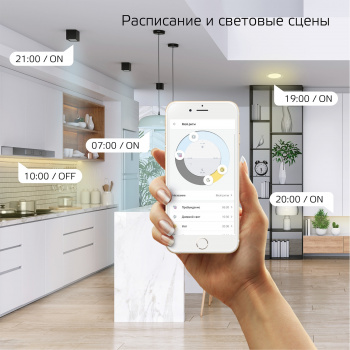 Умная лампа Gauss Smart Home C35