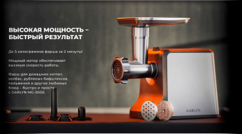 Мясорубка Garlyn MG-3000