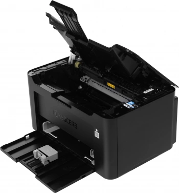 Принтер лазерный Kyocera Ecosys PA2001w