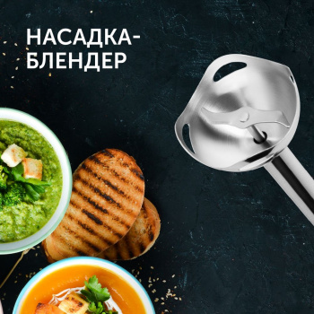 Блендер погружной Red Solution RHB-2908