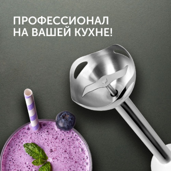 Блендер погружной Red Solution RHB-2941