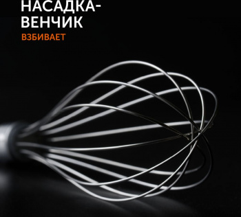 Блендер погружной Red Solution RHB-2948