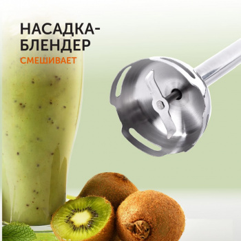 Блендер погружной Red Solution RHB-CB2986