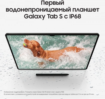 Планшет Samsung Galaxy Tab S9+ SM-X810