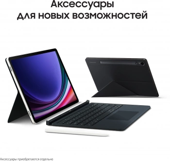 Планшет Samsung Galaxy Tab S9 SM-X716B