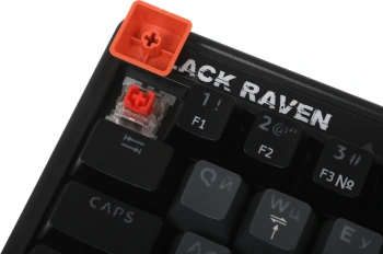 Клавиатура Defender Black Raven GK-417