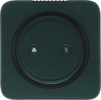 Умная колонка Yandex Станция Макс Zigbee