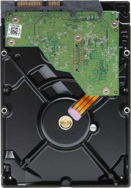 Жесткий диск WD SATA-III 1TB  WD11PURZ